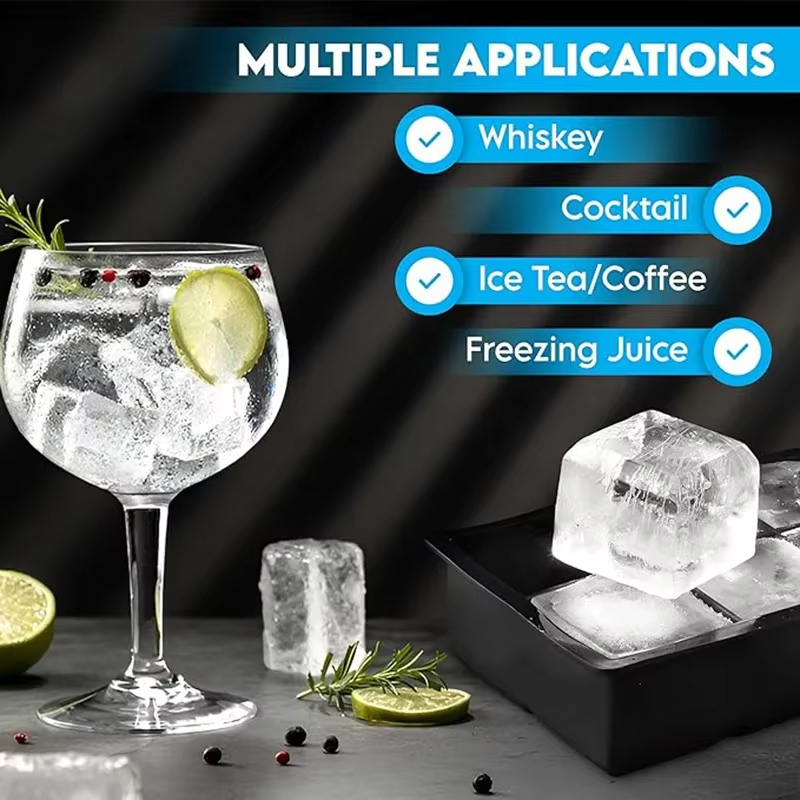 6/8/15 Grids Big Ice Food Mold - Wine Beer Refrigerator recension och pris